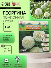 Георгина Помпонная «Сноуфлейк», клубнелуковица в упаковке, р-р см, I, 1 шт