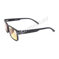 Ralph 0793 C1 антифары