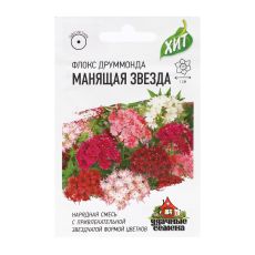 9469088 Семена цветов Флокс (Друммонда) 