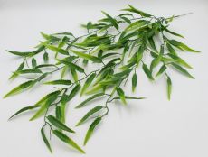 Куст папоротник ампельный критский 