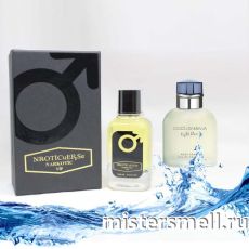 NROTICuERSe Narkotic VIP - Dolce&Gabbana Light Blue Homme, 100 ml