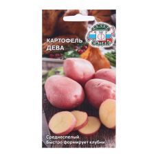 ЦЕНА ЗА 2 ШТ! 9428667 Семена Картофель 