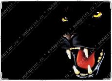 Panther