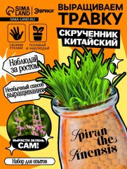 Набор для опытов «Выращиваем травку», своими руками, оранжевый