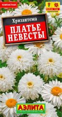 Хризантема Платье Невесты Аэлита
