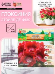 АКЦИЯ! 3 по цене 2! Глоксиния «Этойле де Фью», многолетник, комнатный, луковица в пакете с перфорацией, р-р 5/6, 2 шт