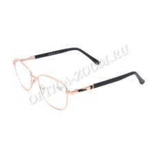 Ralph 6005 C6