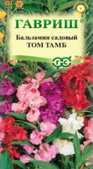 Бальзамин Том Тамб Гавриш