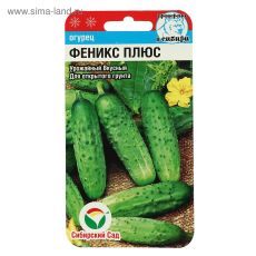 ЦЕНА ЗА 2 ШТ! 5523663 Семена Огурец 