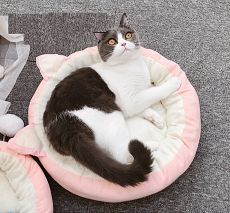 Лежанка для кошек