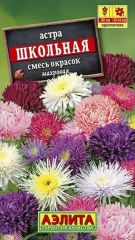 Астра ШКОЛЬНАЯ смесь окрасок
