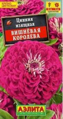 Цинния Вишневая Королева Аэлита