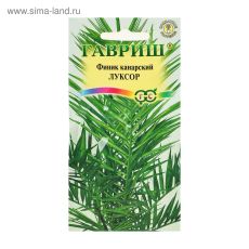1774213 Семена комнатных цветов Финик канарский 