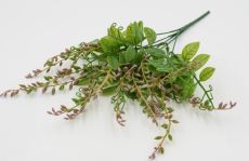 Куст муррайя с фисташкой 