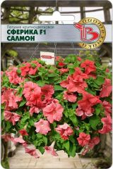 Петуния крупноцветковая Сферика F1 Салмон