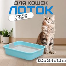 Туалет 