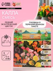 Калла «Смесь», клубнелуковица в пакете с перфорацией, р-р 10/12, 5 шт