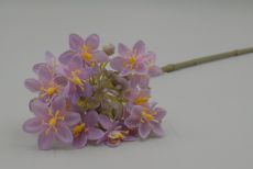 Одиночный агалотус с пласт.серед. 