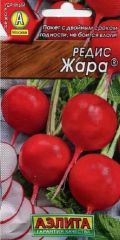 Редис Жара Аэлита