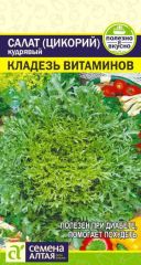 Салат Эндивий Кладезь Витаминов Сем