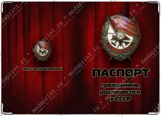 В СССР