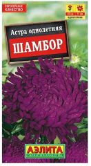 Астра Шамбор пионовидная