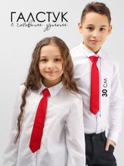 SP302A Соль&Перец Галстук красный