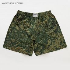 5300184 Трусы мужские шорты, цвет камуфляж, размер 54-56