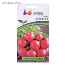 5481577 Семена Редис 