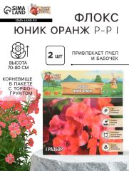 Флокс «Юник Оранж» корневище в пакете с торфогрунтом, р-р I, 2 шт