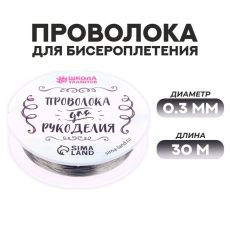 3801454 Проволока для бисероплетения D= 0,3 мм, длина 30 м, цвет серебряный