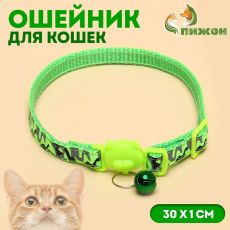 Ошейник кошачий Пижон 