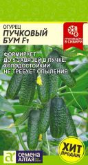 Огурец Пучковый Бум F1 Сем.Алтая