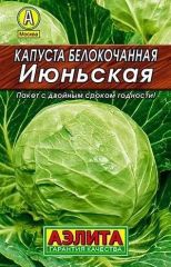 Капуста б/к Июньская лидер