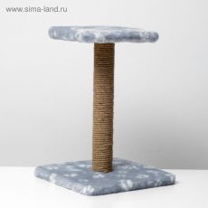 5089555 Когтеточка 