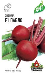 Свекла Пабло F1 хит3 Гавриш