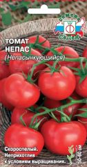 Томат Непас(непасынкующийся) СеДек