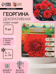 Георгина Декоративная «Гарден Уандер», клубнелуковица в упаковке, р-р I, 1 шт
