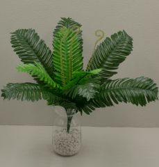 Куст папоротник 