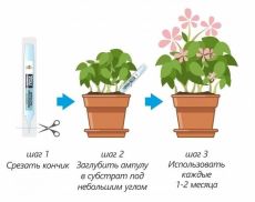 ЦЕНА ЗА 4 ШТ! 2872022 Эликсир для комнатных цветов JOY Экспресс уход ампула,10 мл