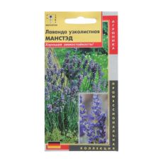 5360532 Лаванда узколистная Манстэд (Отлично зарекомендовавший себя среди профессионалов холодостойк