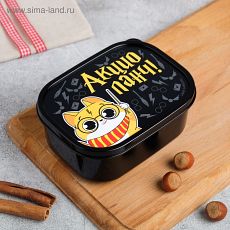 4913052 Ланч-бокс «Акцио ланч», 0.5 л