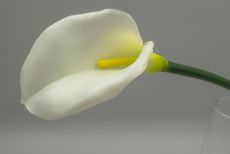 Одиночная калла 