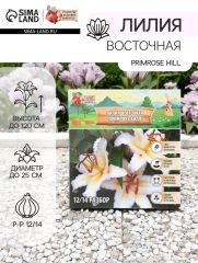 АКЦИЯ! 3 по цене 2! Лилия Восточная Primrose Hill, луковица в пакете с перфорацией, р-р 12/14, 2 шт