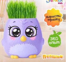 5155390 Набор для опытов «Пташки, выращиваем травку», фиолетовый горшочек