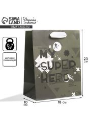 АКЦИЯ! ЦЕНА ЗА 3 ШТ! Пакет подарочный ламинированный, упаковка, «Super Hero», MS 18 х 23 х 10 см