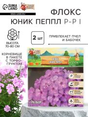 Флокс «Юник Пеппл» корневище в пакете с торфогрунтом, р-р I, 2 шт
