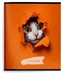 Тетрадь 48 л.География А5 клетка,ЛЮБОПЫТНЫЙ КОТИК Schoolformat