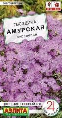 Гвоздика Амурская Сиреневая Аэлита