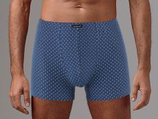 Трусы мужские GS7850 шорты Gentlemen